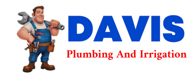 Trusted plumber in CANYON LAKE